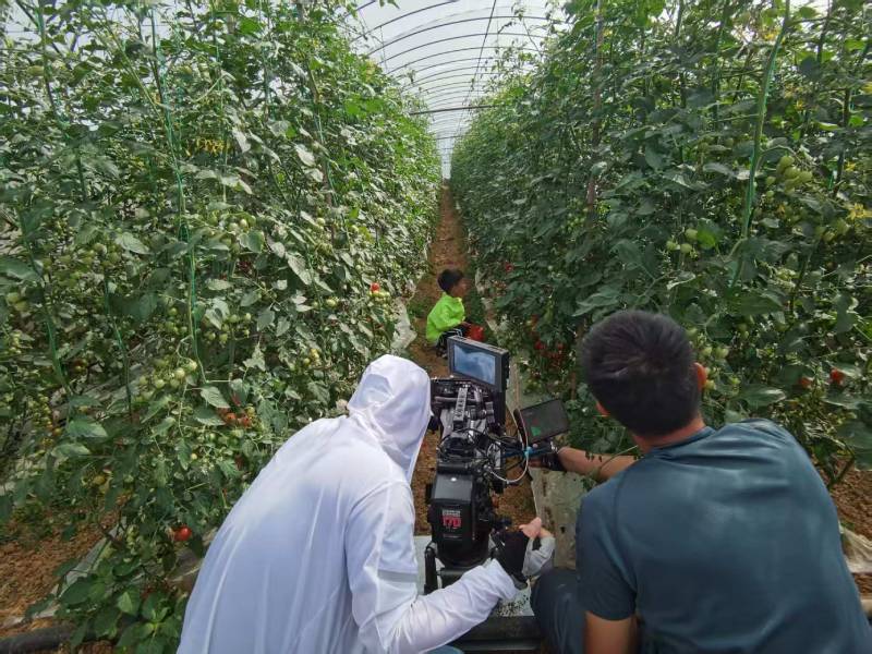 高效落地，永泰县TVC拍摄公司助力品牌抢占市场先机